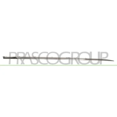 Image of Trim/Protection Strip, door PRASCO RN3291413