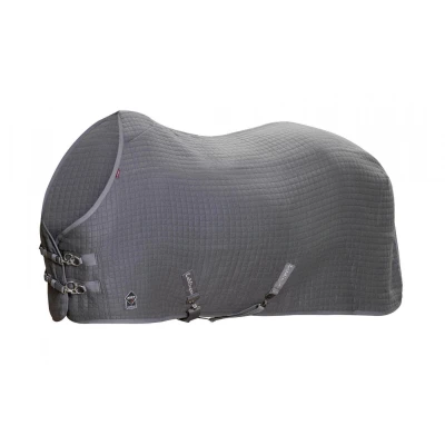 Image of LeMieux Arika Clima Tek rug