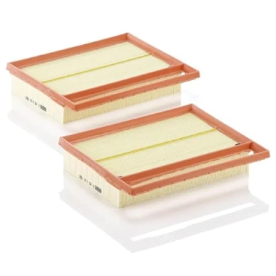 Image of Air FILTER MANN C 25 110 2