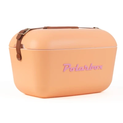 Image of Polarbox Cool Box Classic Bag Retro Vintage Camping Picnic Beach 20L Nude/Marron