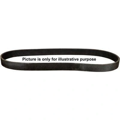 Image of V Ribbed Belt JP GROUP 3818100200