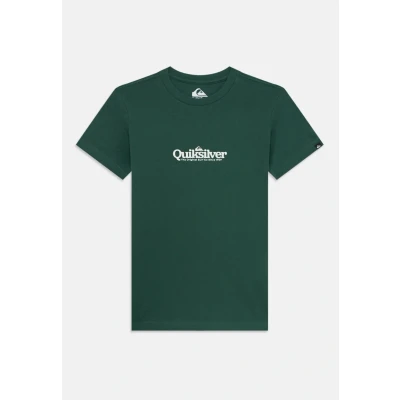 Image of Quiksilver Fineline Youth Unisex Print Tshirt for kids, Size: 10y, Trekking green