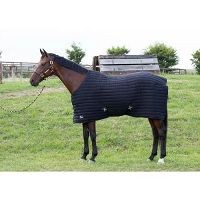 Image of Harry&#039;s Horse Powerliner