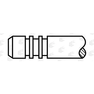 Image of Intake Valve AE V80000
