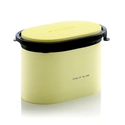 Image of Air FILTER MANN CP 26 295