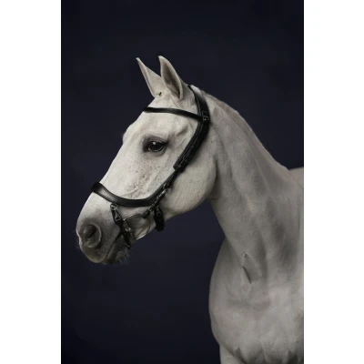 Image of PresTeq Bridle FaySport