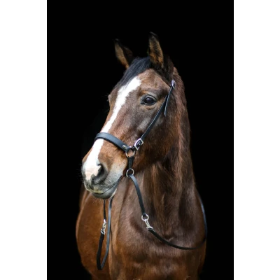 Image of F.R.A. Bitless Bridle Janosch