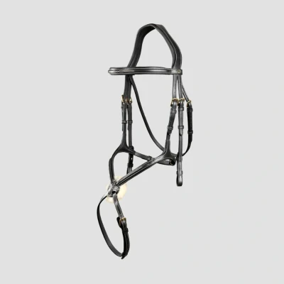 Image of Dyon Bridle figure 8
