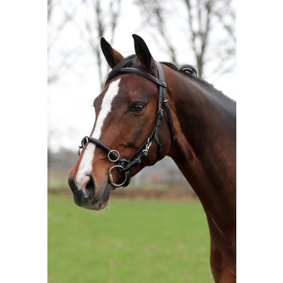 Image of Horka Cavecon Franco Iberian Pony Serreta