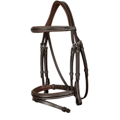 Image of Dyon bridle Flash
