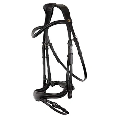 Image of BR Bridle Longridge