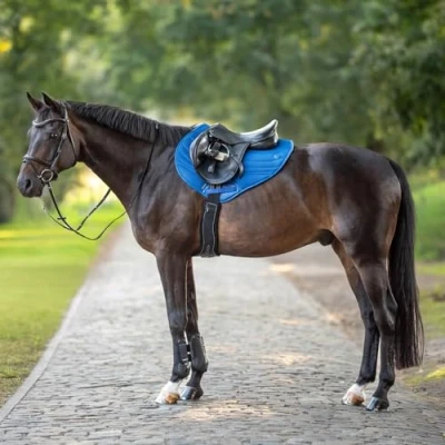 Image of Busse Saddlepad 3D Air Effect
