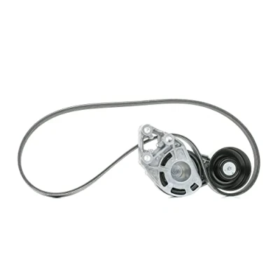 Image of V Ribbed Belt Set SKF VKMA 31036