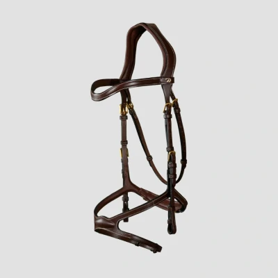 Image of Dyon Bridle X Fit D Collection