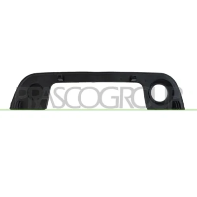 Image of Exterior Door Handle PRASCO BM0148701