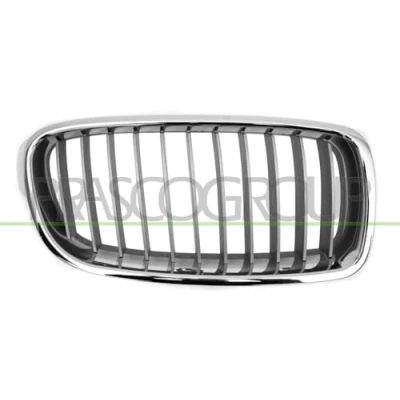 Image of Radiator Grille PRASCO BM0282033