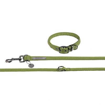 Image of Eskadron FW&#039;24 Platinum Collar and Lead set