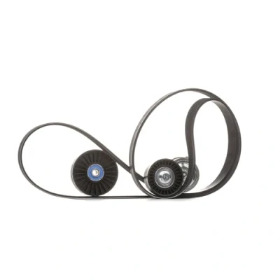 Image of V Ribbed Belt Set SKF VKMA 32128