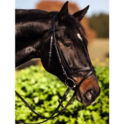 Image of Kerbl 321744 Bridle Standard Leather for Warm Blooded Horses Brown