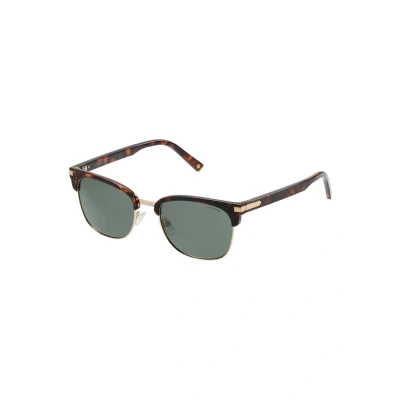 Image of Polaroid Sunglasses, Size: One Size, Darkhavana