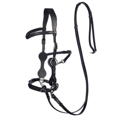 Image of F.R.A. Hackamore bridle Calli