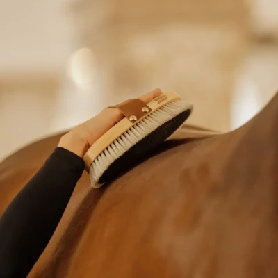 Image of Grooming Deluxe Overall Brush Body Shine