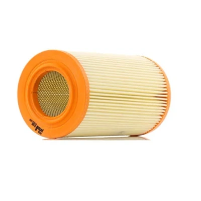 Image of Air Filter PURFLUX A1009