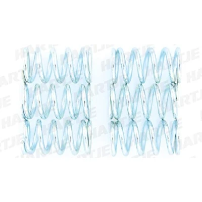 Image of Clutch Spring Set TRW MEF107 6