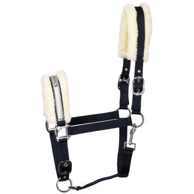 Image of Harry&#039;s Horse Headcollar Lyrics V