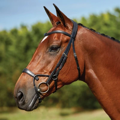 Image of Collegiate ComFiTec Training Bridle