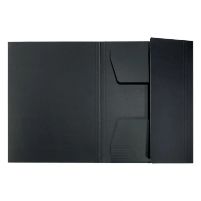 Image of Leitz A4 Card 3 Flap Folder, 250 Sheet Capacity, 100% Recyclable, Eco Friendly, Recycle Range, 39060095, Black
