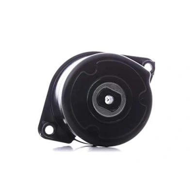 Image of Tensioner Lever, v ribbed belt INA 534 0170 10