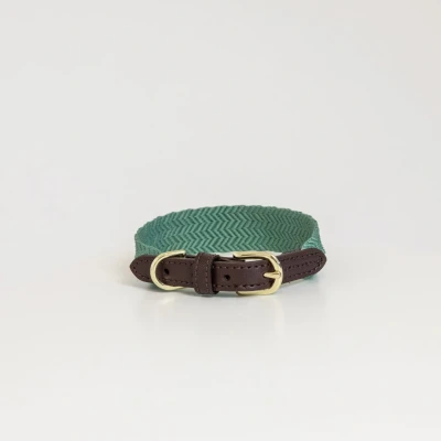Image of Kentucky Dog collar Jacquard