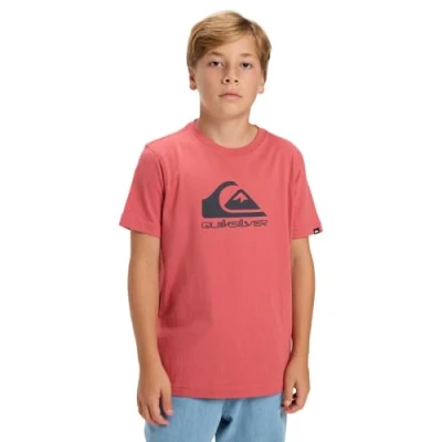 Image of Quiksilver Boy&#039;s Ev Comp Logo Ss Kids T Shirt (Pack of 1)