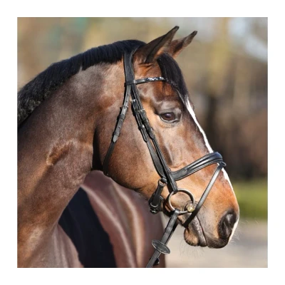 Image of Kavalkade Bridle Ivette