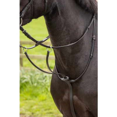 Image of LeMieux Arika martingale