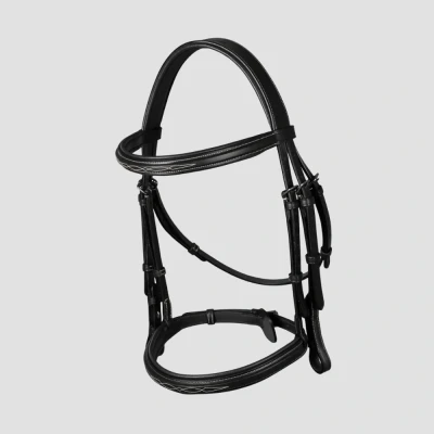 Image of Dyon Hunter bridle