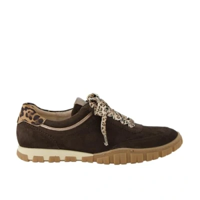 Image of Paul Green Trainers, Women&#039;s, Size: 7.5, Dark brown shoes