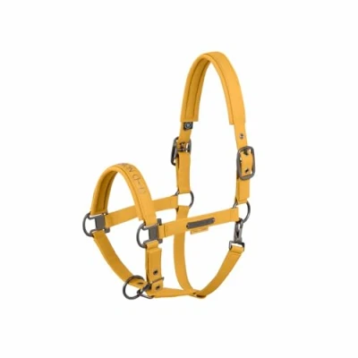Image of Eskadron SS25 Platinum Halter Faux Leather Double Pin