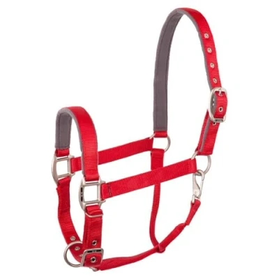 Image of BR Halter Event