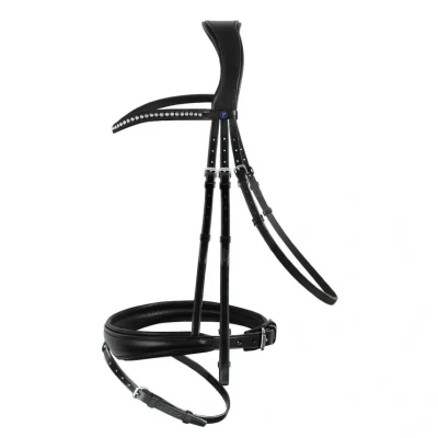 Image of Passier Spirit Bridle