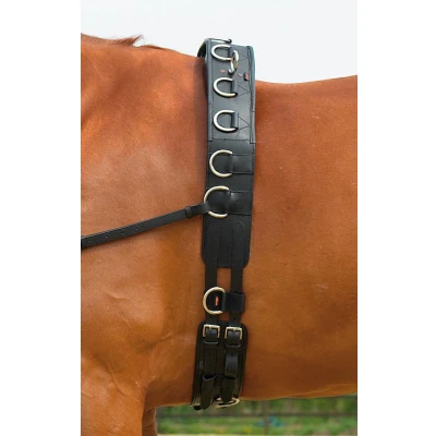 Image of Busse Lunging Girth Professional Leather