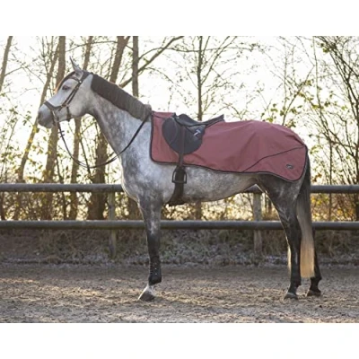 Image of QHP FW&#039;22 Exercise sheet turnout collection fleece