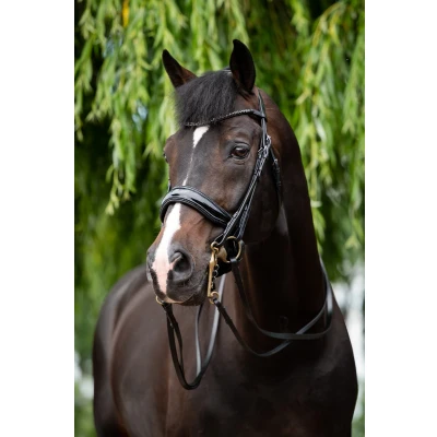 Image of HB Showtime Double Bridle Special for You