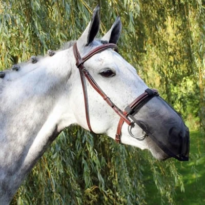 Image of QHP Nose net