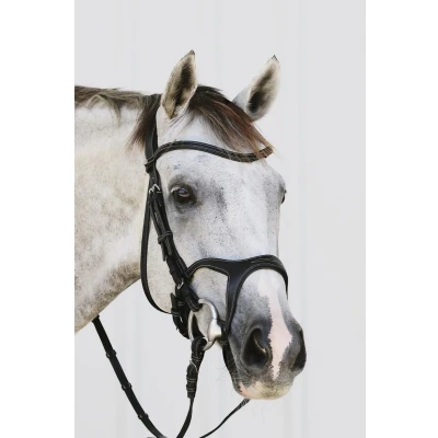 Image of Montar Monarch anatomic snaffle bridle