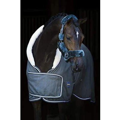 Image of HB Polar 400g Dutch Crown Show Rug