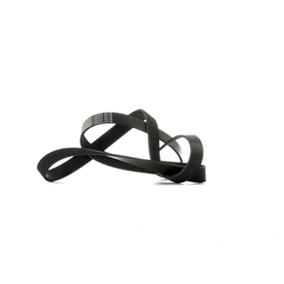 Image of V Ribbed Belt BLUE PRINT AD07R1687
