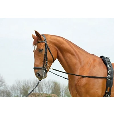 Image of Busse Side Rein Basic Starr