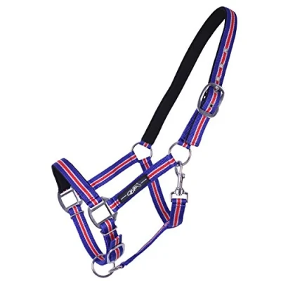 Image of QHP Halter Icelandic